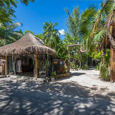 Yoga Shala Tulum Hotel